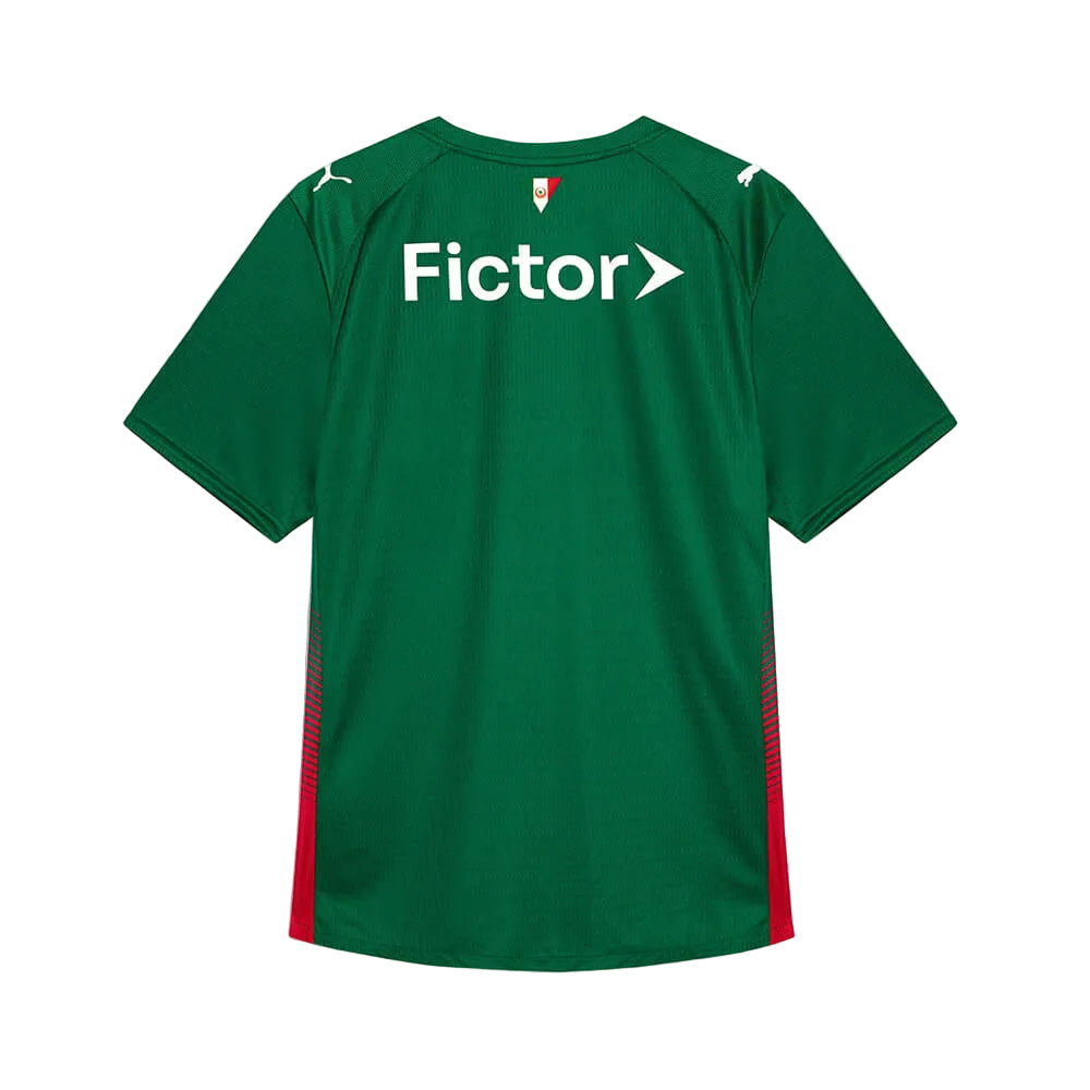 Camisa Palmeiras I 26/27